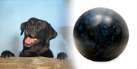 Hundeurne Hund im Licht auch mit Ihrem Hund Kugel
