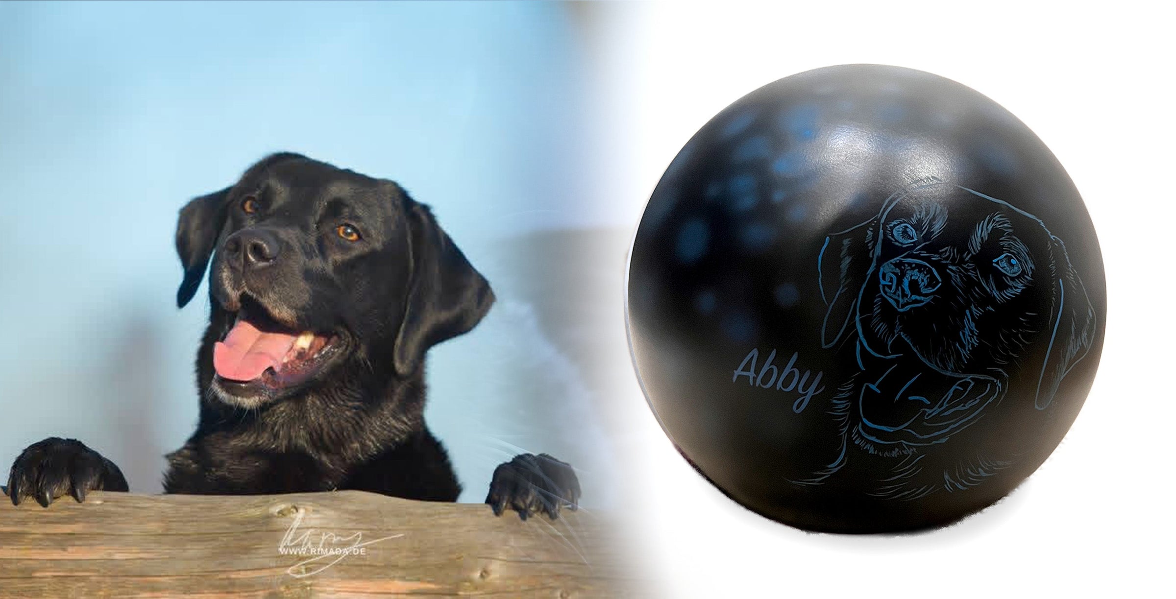 Hundeurne Hund im Licht auch mit Ihrem Hund Kugel