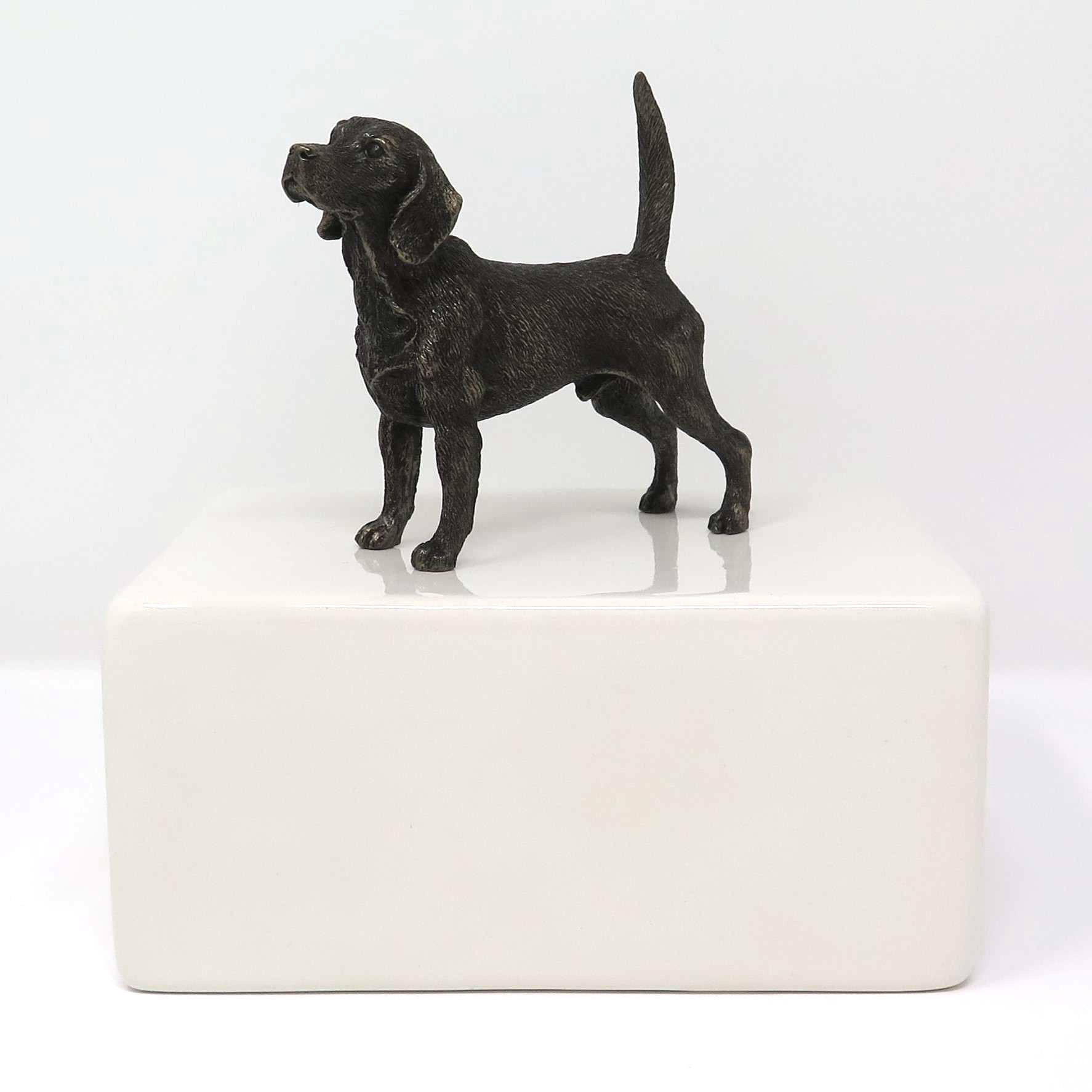 Beagle Urne