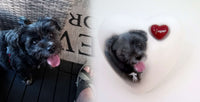 Tierurne in Herzform mit Portrait nach Fotovorlage