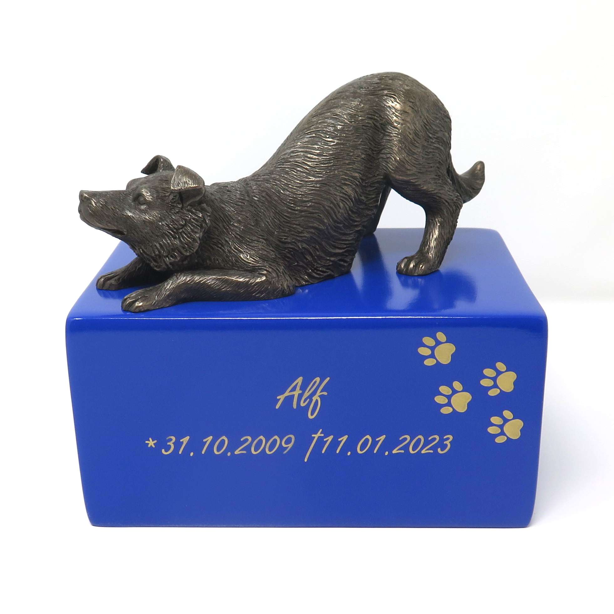 Border Collie Urne