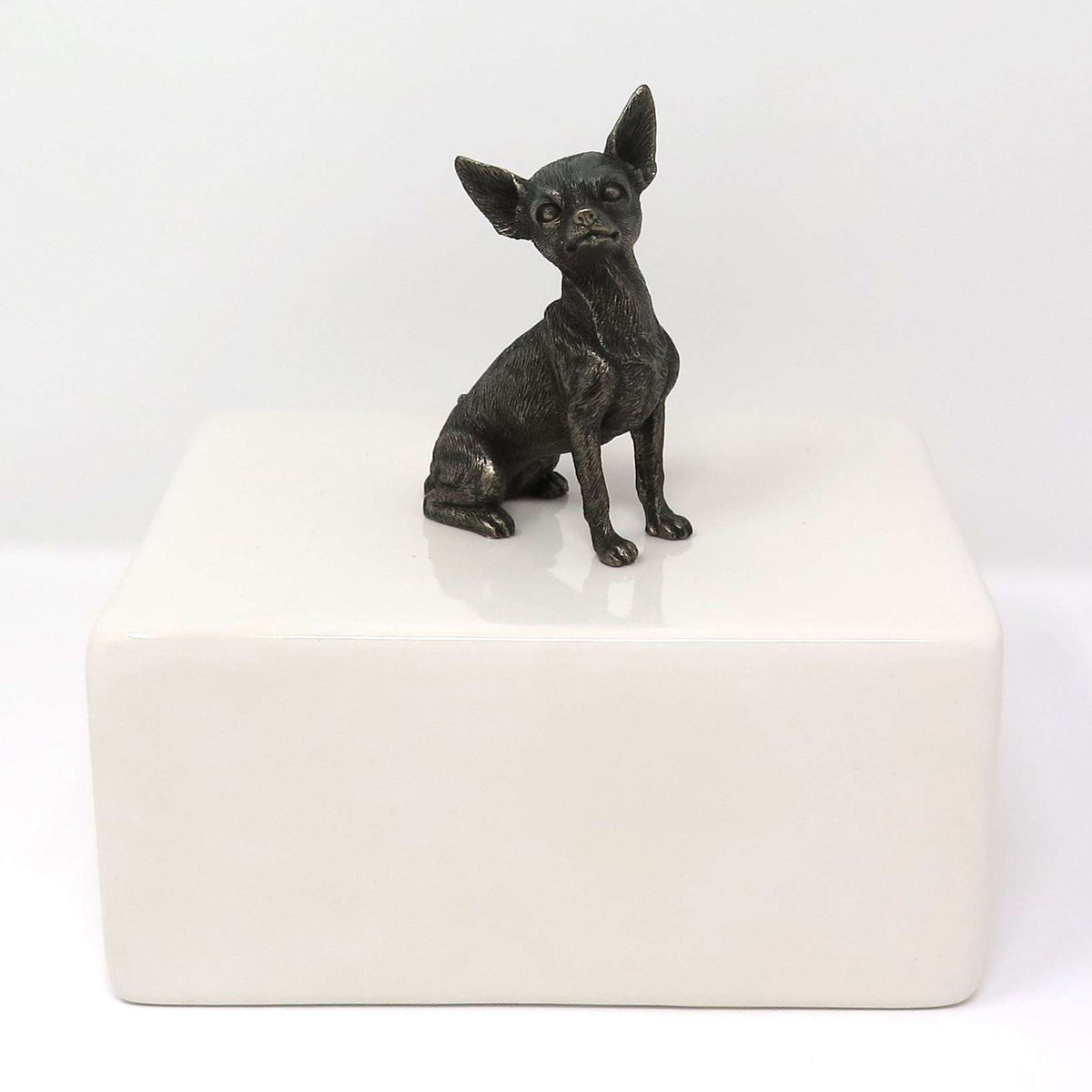 Chihuahua Urne