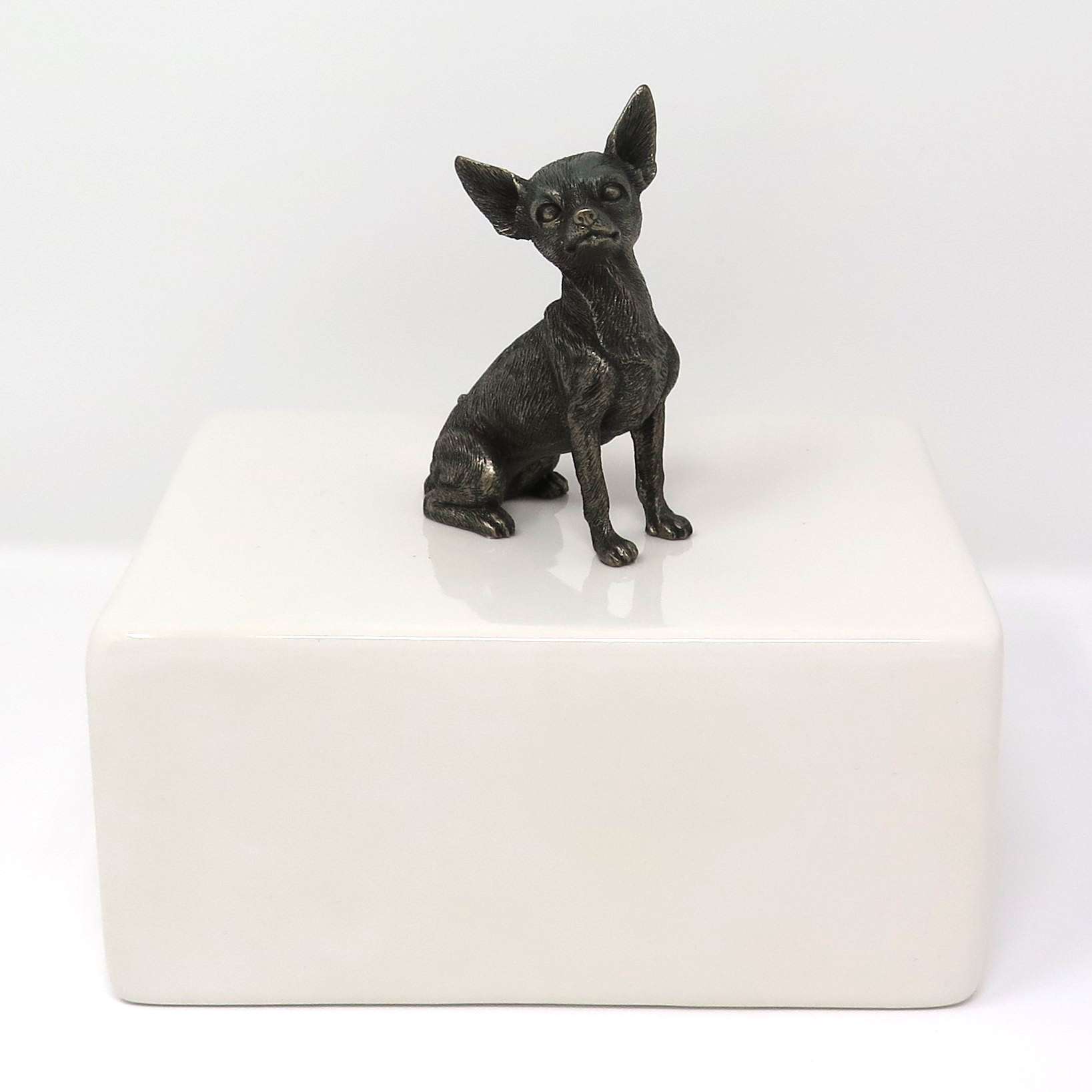 Chihuahua Urne