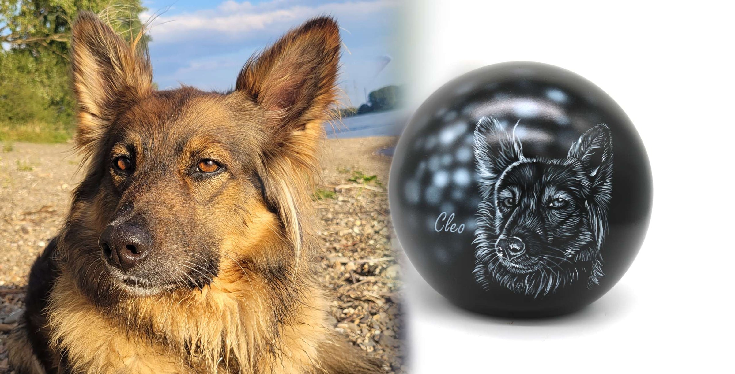 Hundeurne in Kugelform mit Hundemotiv nach Fotovorrage Ihres Hundes