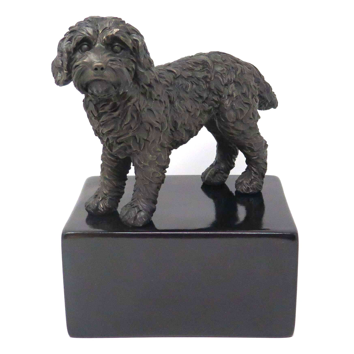 Cockapoo Urne