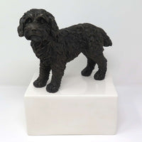 Cockapoo Urne