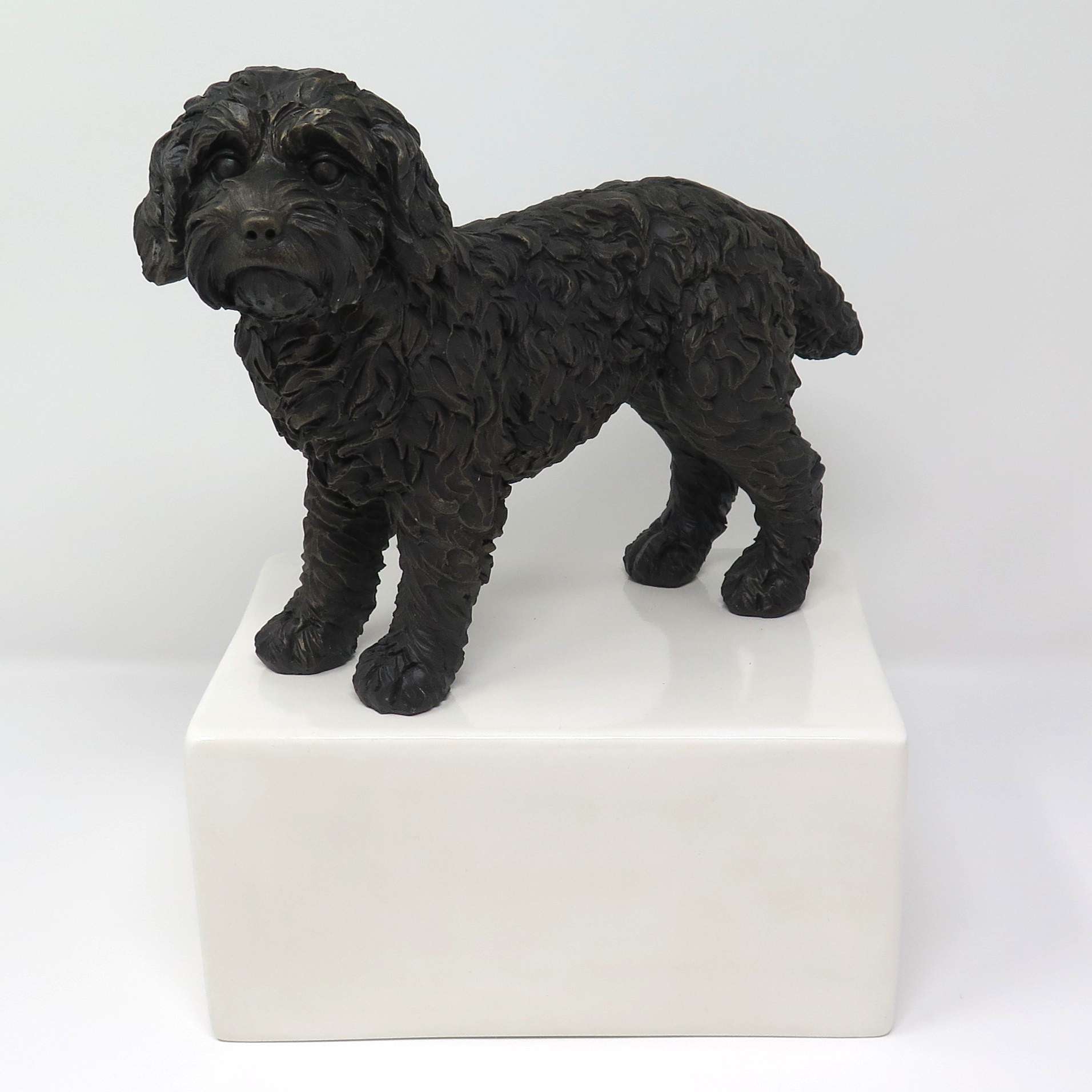 Cockapoo Urne