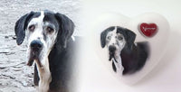 Tierurne in Herzform mit Portrait nach Fotovorlage