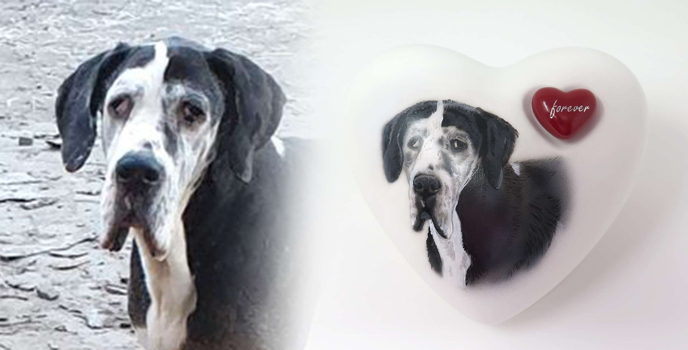 Tierurne in Herzform mit Portrait nach Fotovorlage