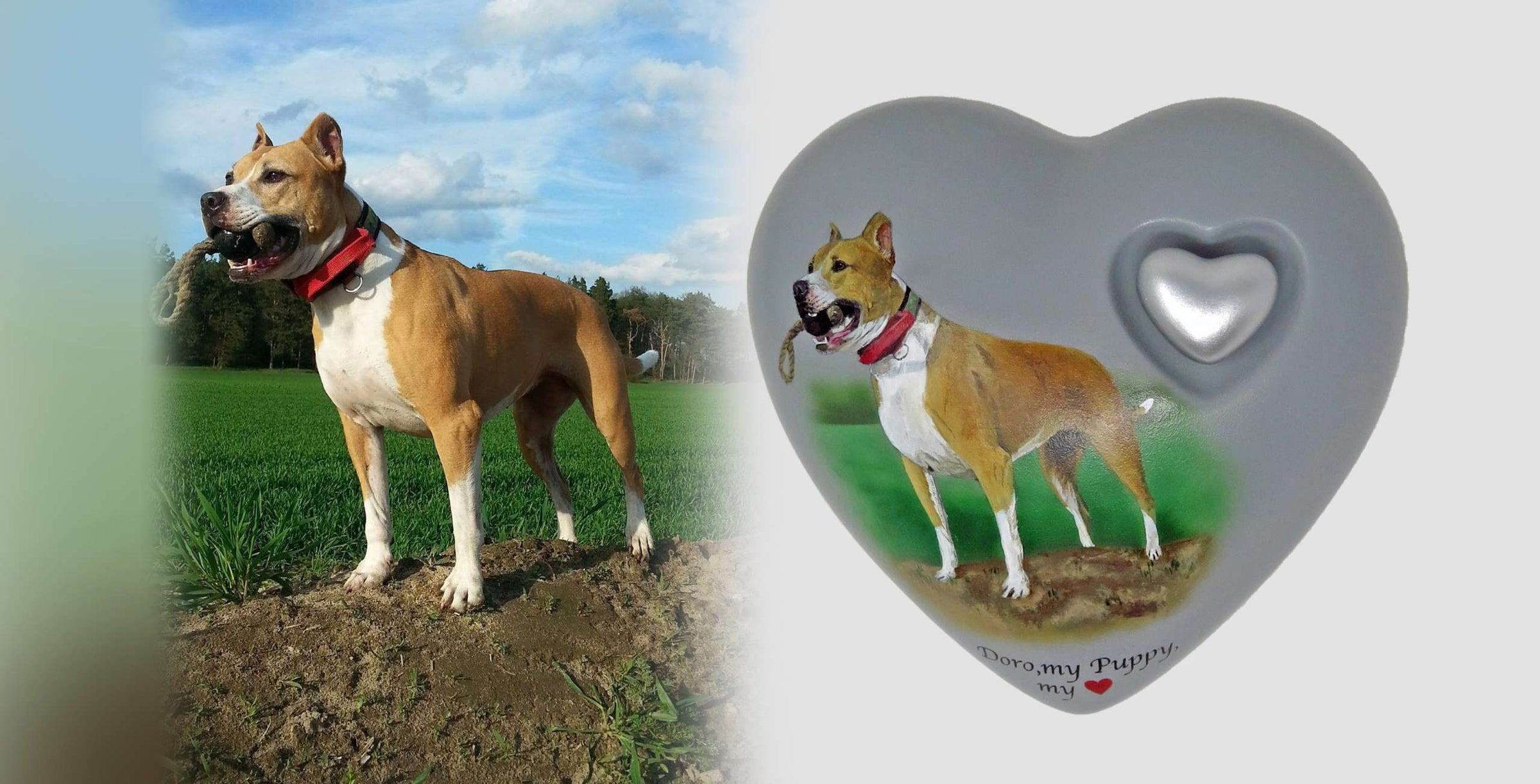 Tierurne in Herzform mit Portrait nach Fotovorlage