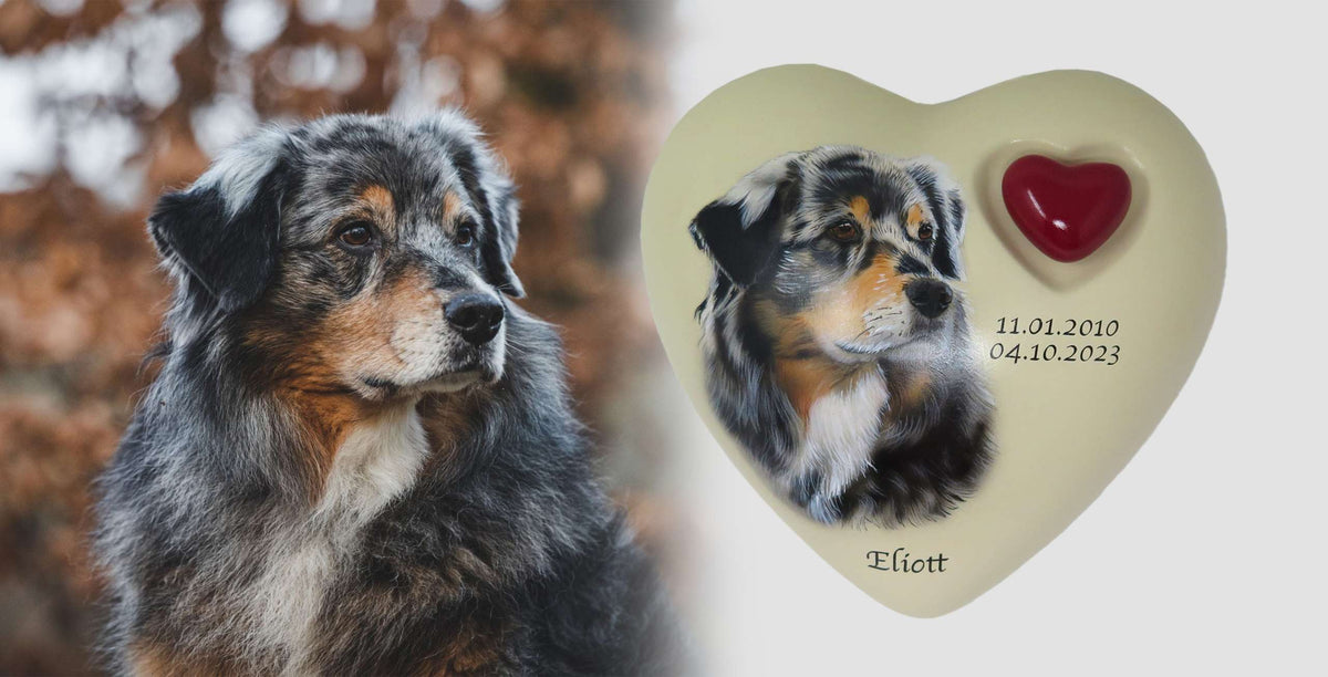 Tierurne in Herzform mit Portrait nach Fotovorlage