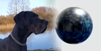 Hundeurne Hund im Licht auch mit Ihrem Hund Kugel