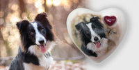 Tierurne in Herzform mit Portrait nach Fotovorlage