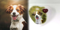 Tierurne in Herzform mit Portrait nach Fotovorlage