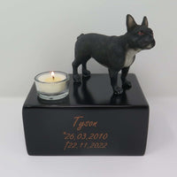 Schwarze Französische Bulldogge auf Urne
