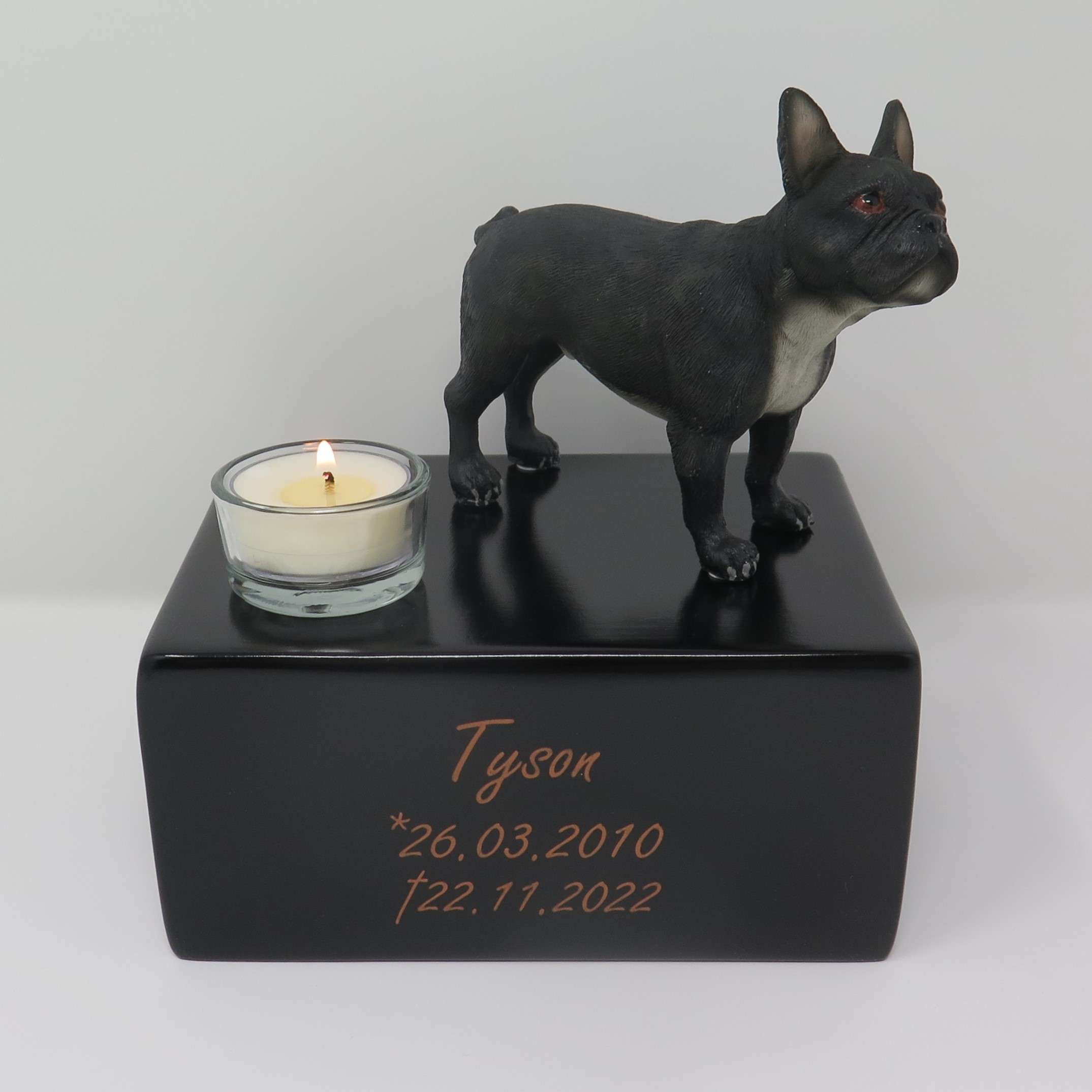 Schwarze Französische Bulldogge auf Urne