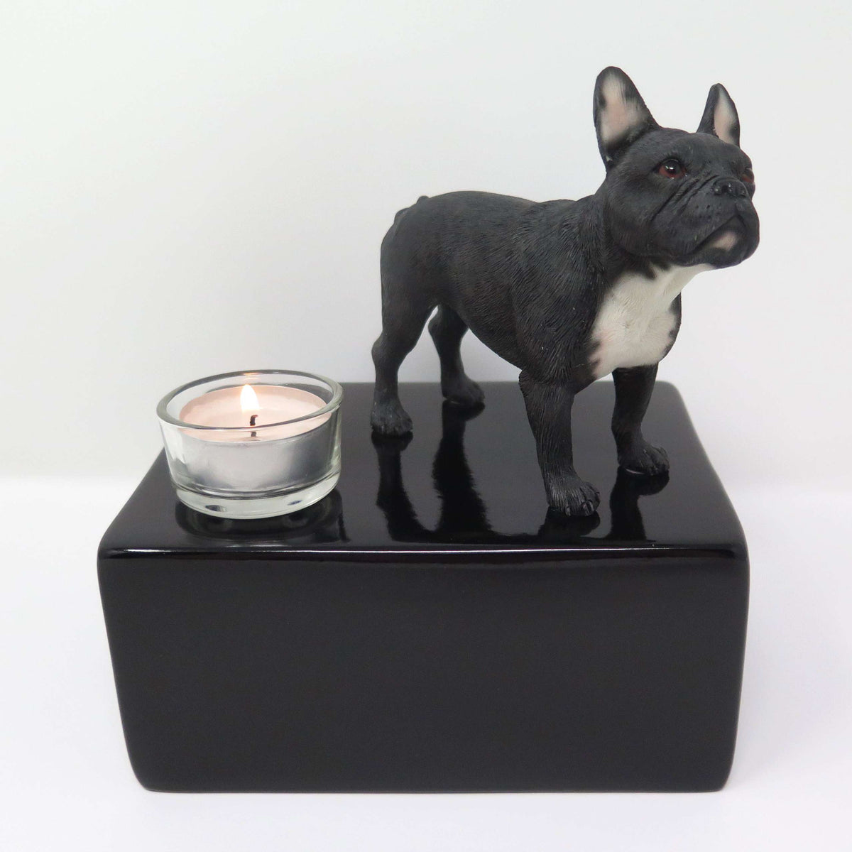Schwarze Französische Bulldogge auf Urne