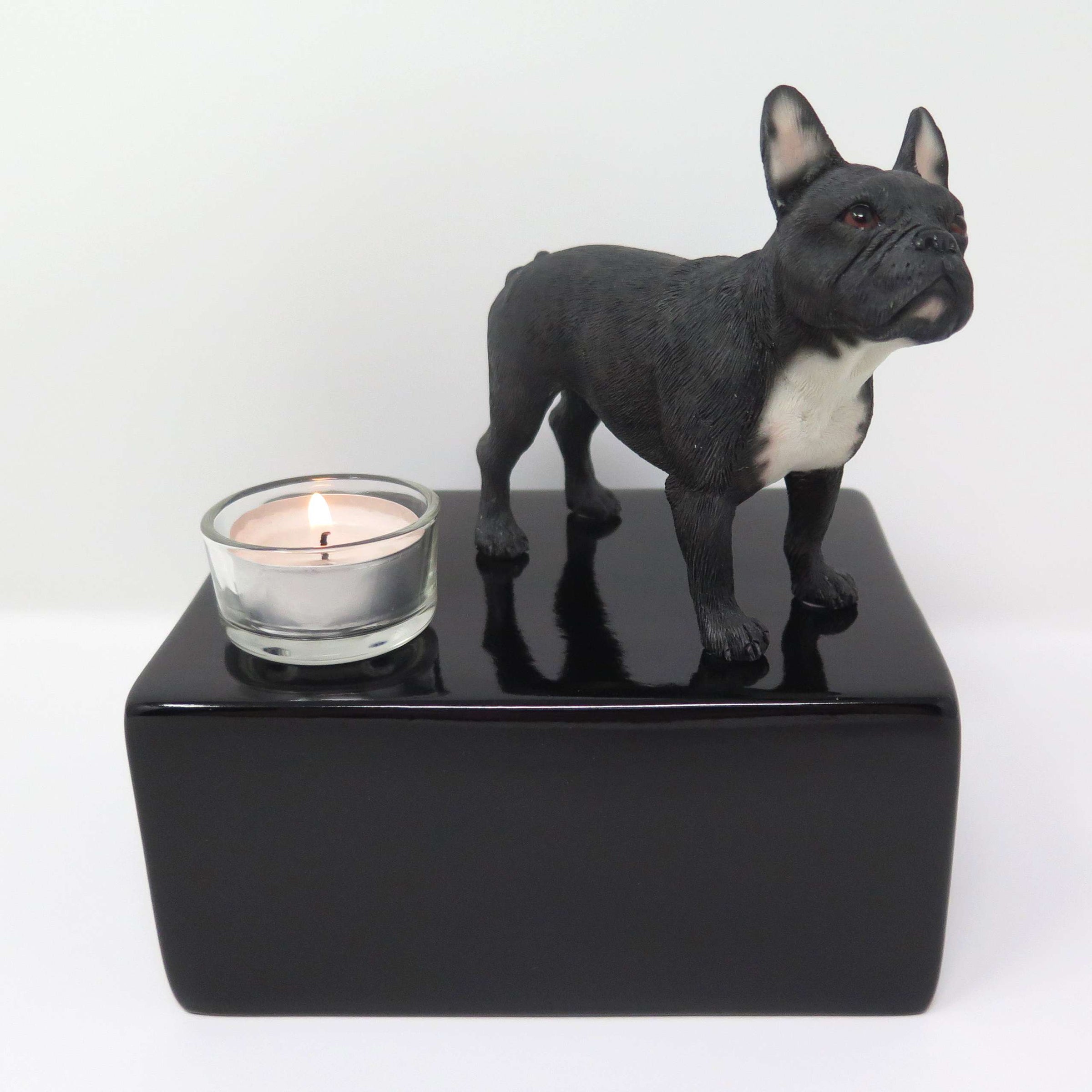 Schwarze Französische Bulldogge auf Urne