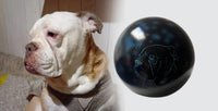 Hundeurne Lichterhund mit Silhouette Ihres Hundes