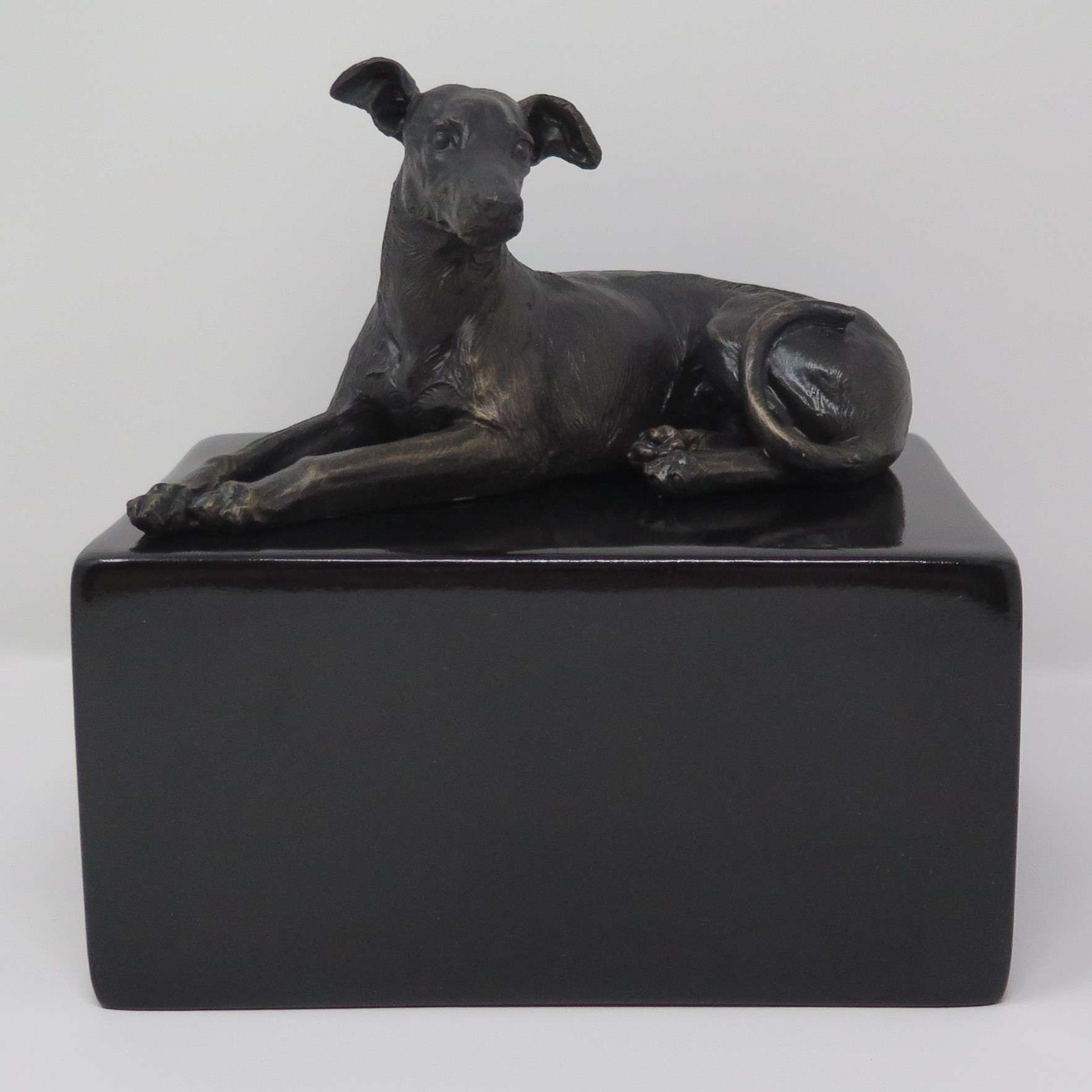 Greyhound Urne