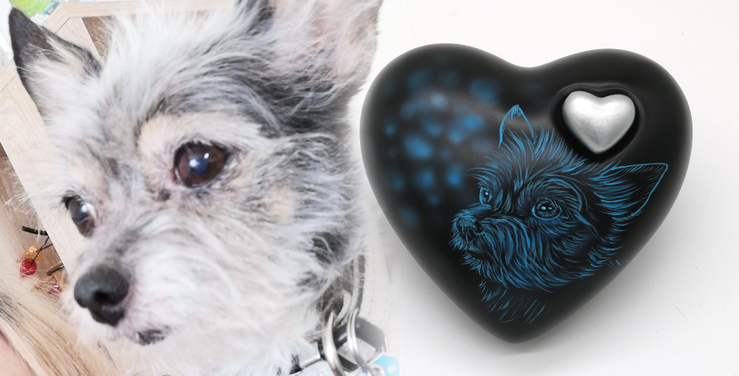 Hundeurne Hund im Licht auch mit Ihrem Hund Herz