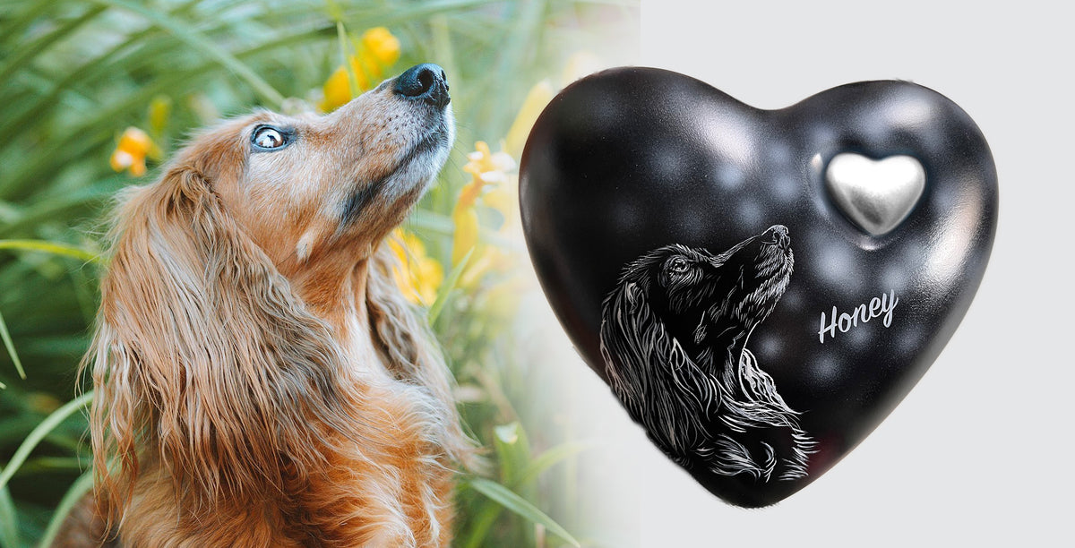 Hundeurne Lichterhund mit Ihrem Hund in Herzform