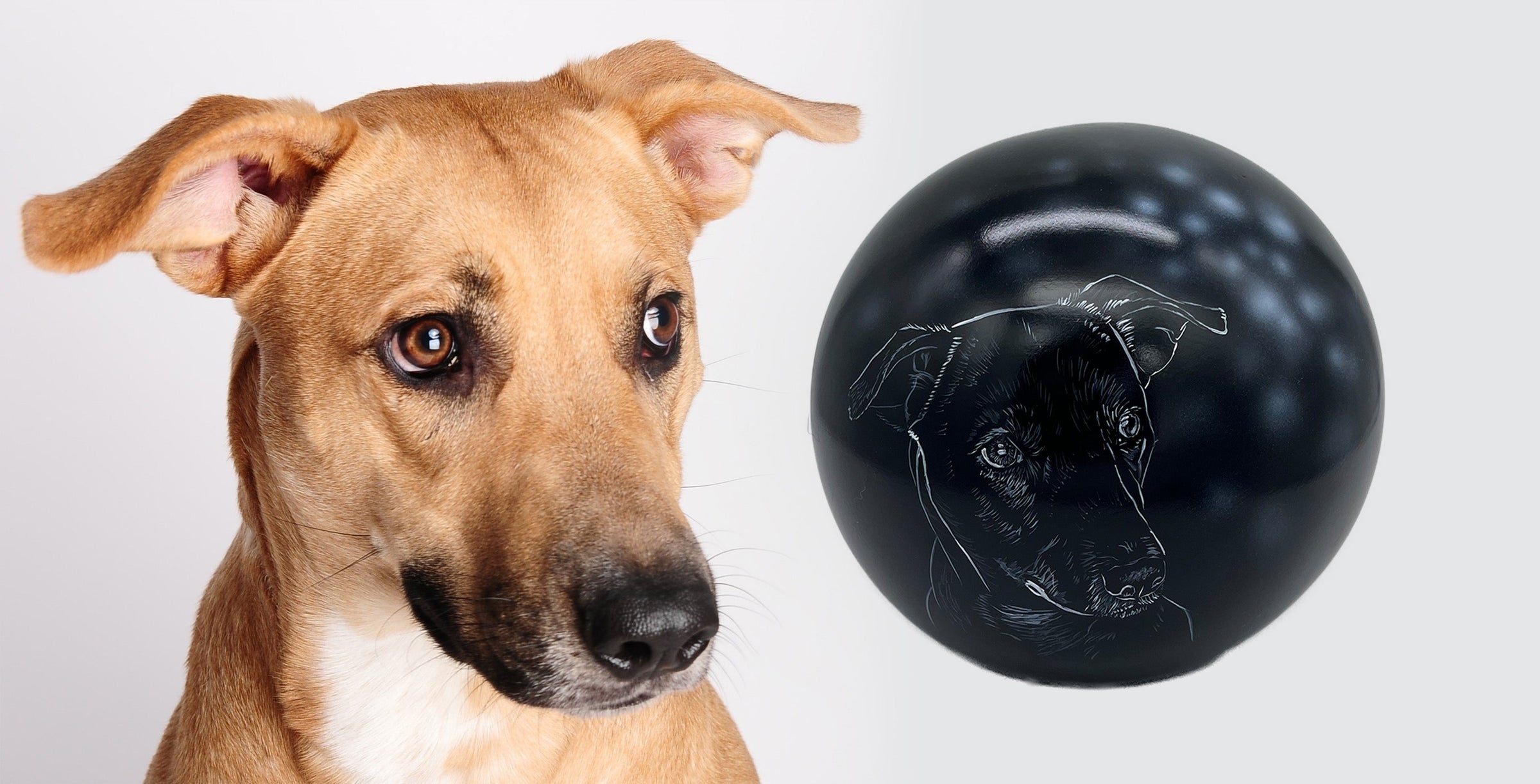 Hundeurne in Kugelform mit Zeichnung nach Fotovorlage