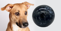 Hundeurne in Kugelform mit Zeichnung nach Fotovorlage