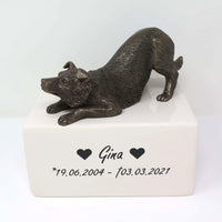 Border Collie Urne