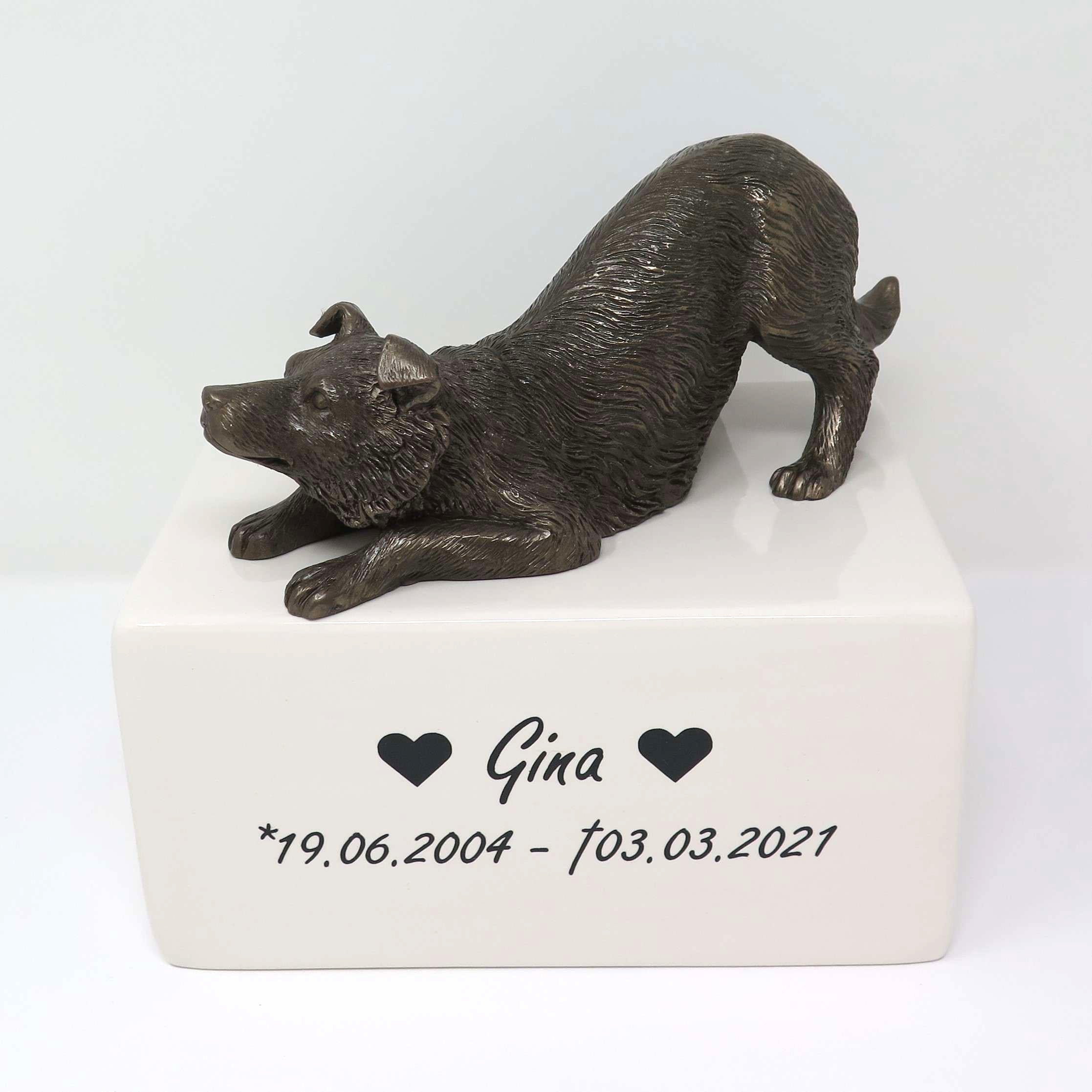 Border Collie Urne
