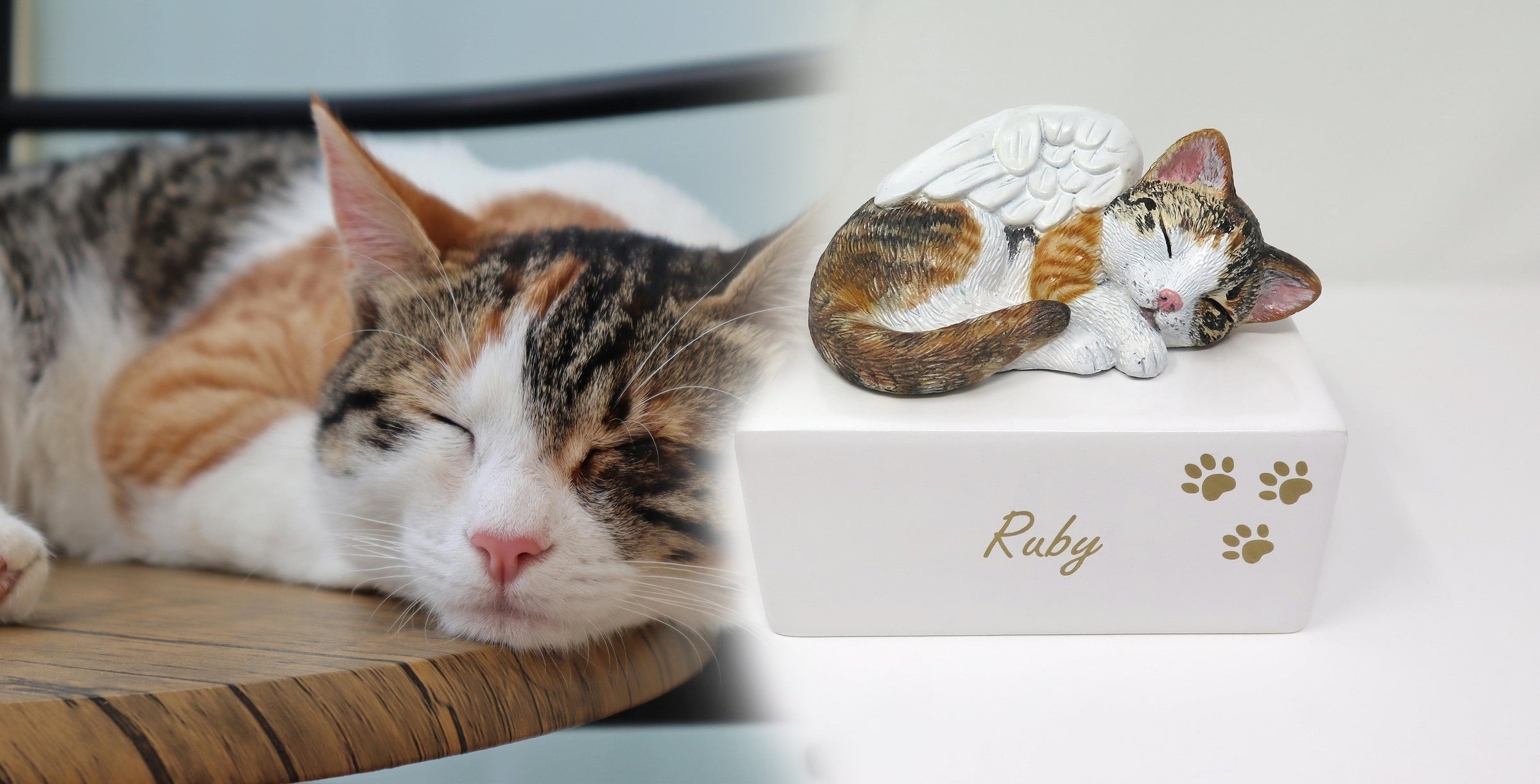 3 katze nach Foto bemalt auf weißer Urne