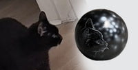 Katzenurne Lichterkatze mit Silhouette Ihrer Katze