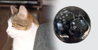 Katzenurne Katze im Licht auch mit Ihrer Katze Kugel