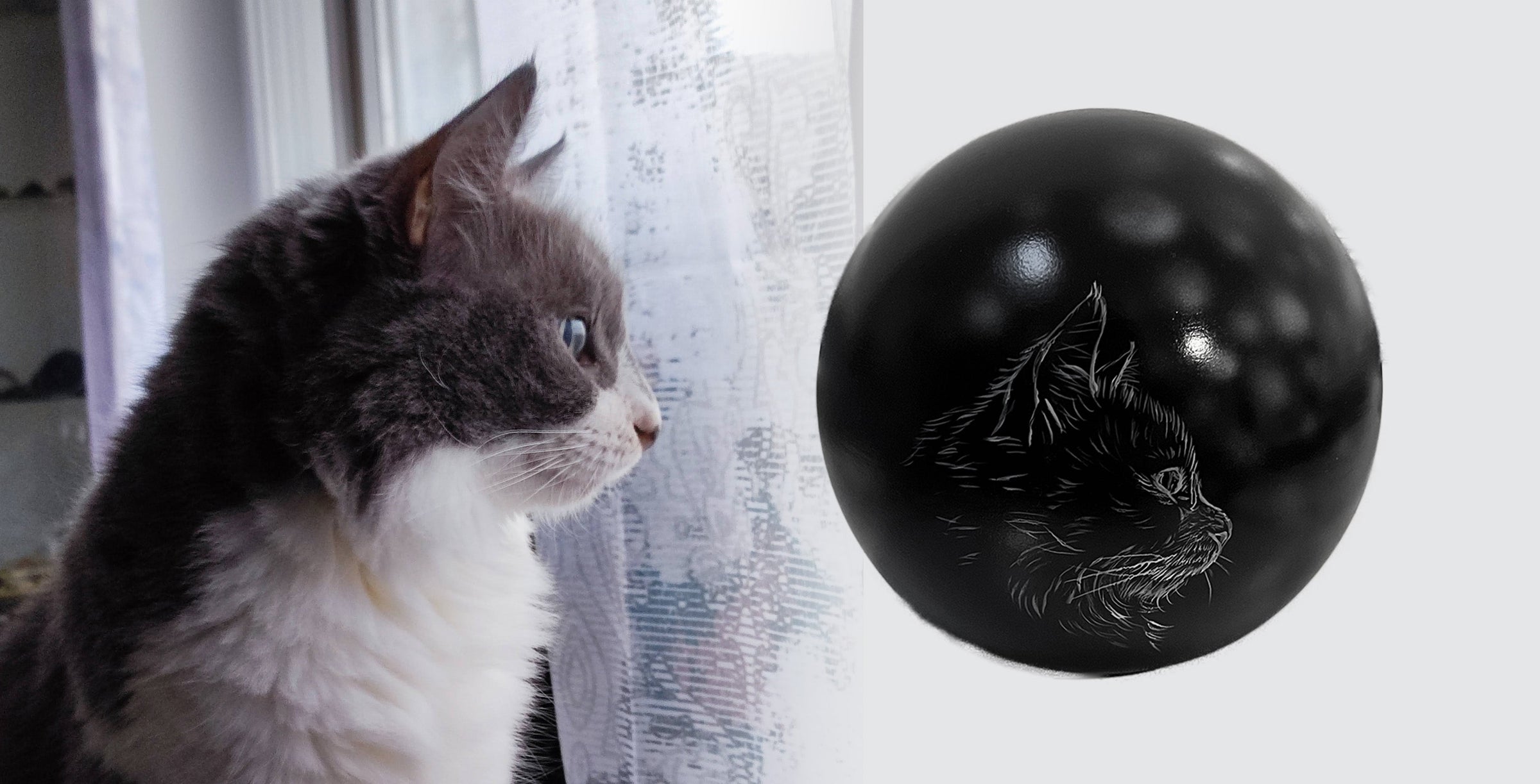 Katzenurne Katze im Licht auch mit Ihrer Katze Kugel