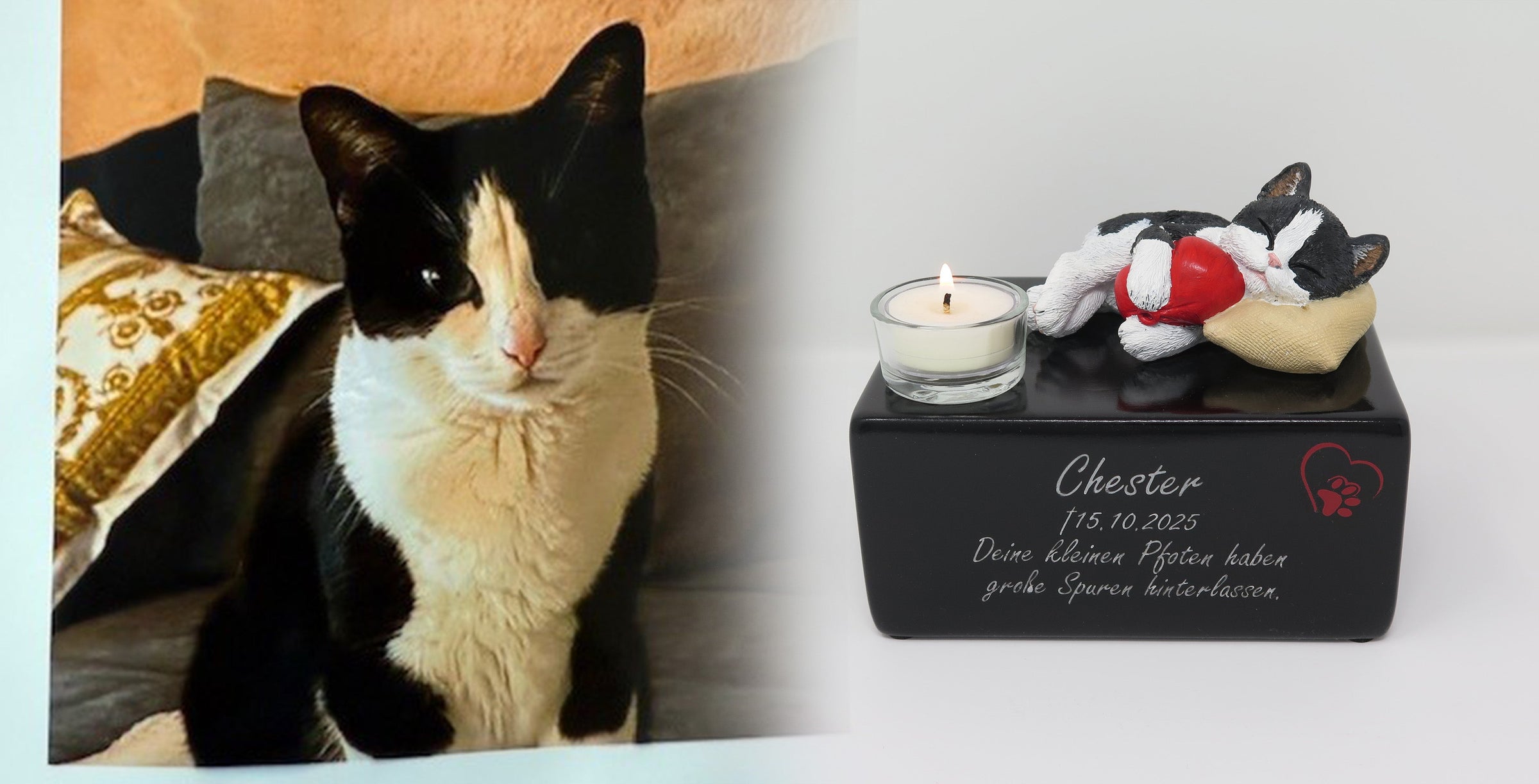 Katzenurne schlafende Katze auf Kissen mit Teelicht