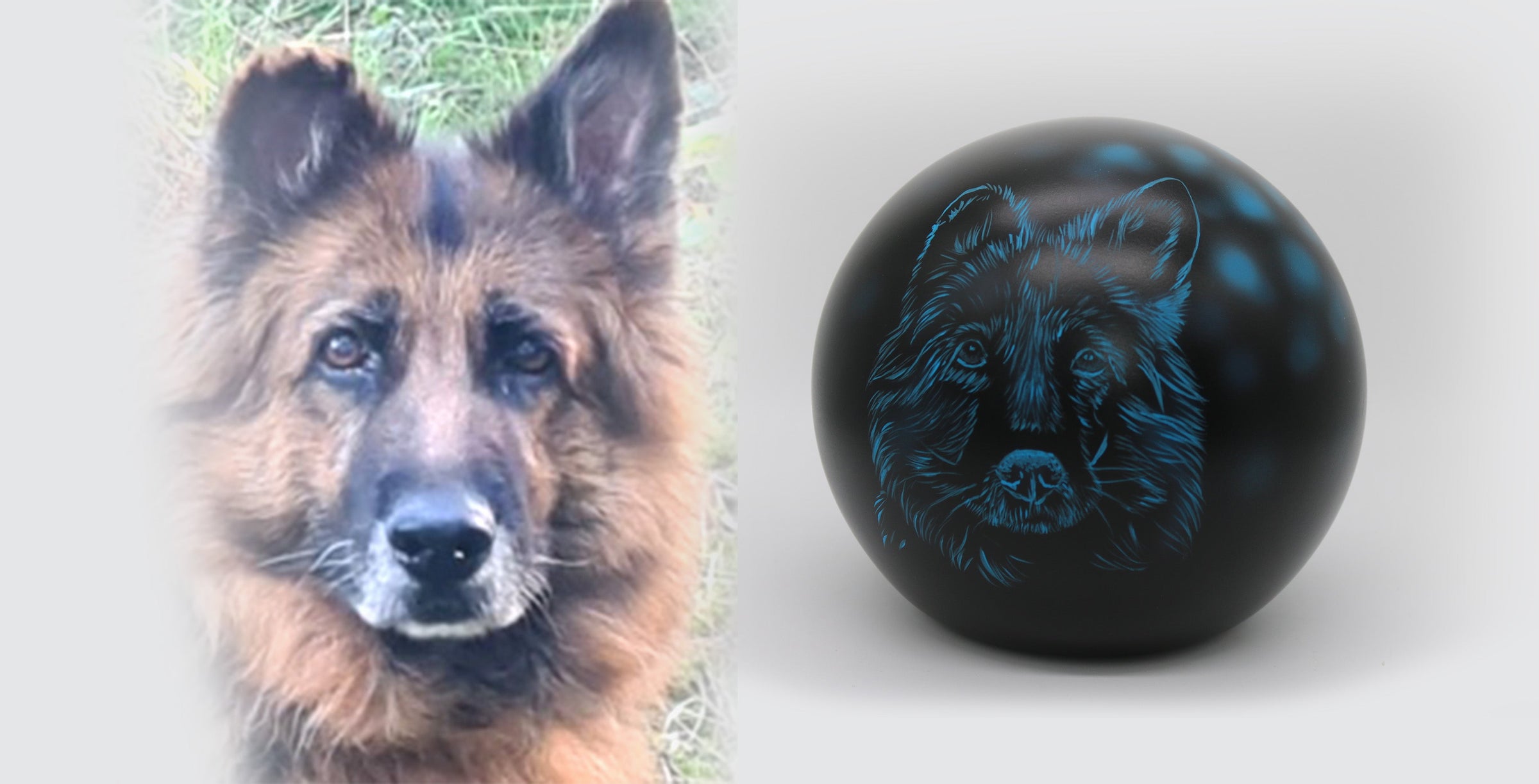 rne für Hunde mit Portrait nach Fotovorlge