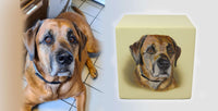 Tierurne in Würfelform mit Portrait nach Fotovorlage