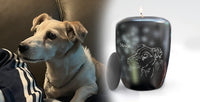 Hundeurne Hund im Licht auch mit Ihrem Hund Teelicht