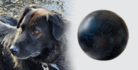 Hundeurne Hund im Licht auch mit Ihrem Hund Kugel
