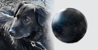 Hundeurne Lichterhund mit Silhouette Ihres Hundes