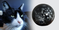 Katzenurne Katze im Licht auch mit Ihrer Katze Kugel
