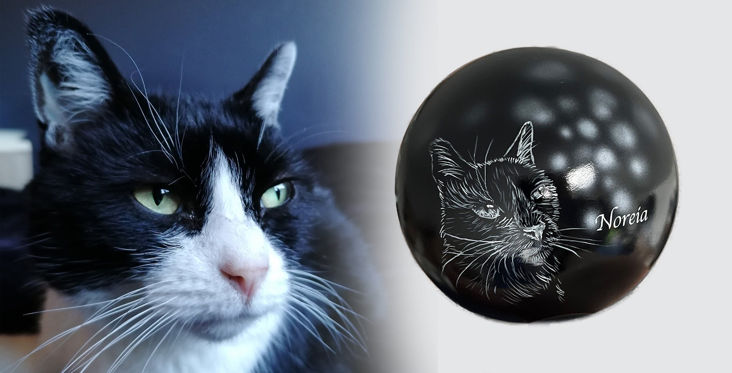 Katzenurne Lichterkatze mit Silhouette Ihrer Katze