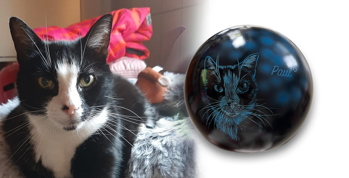 Katzenurne Katze im Licht auch mit Ihrer Katze Kugel