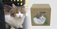 Tierurne in Würfelform mit Portrait nach Fotovorlage