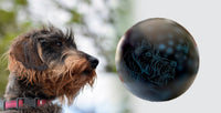 Hundeurne Hund im Licht auch mit Ihrem Hund Kugel
