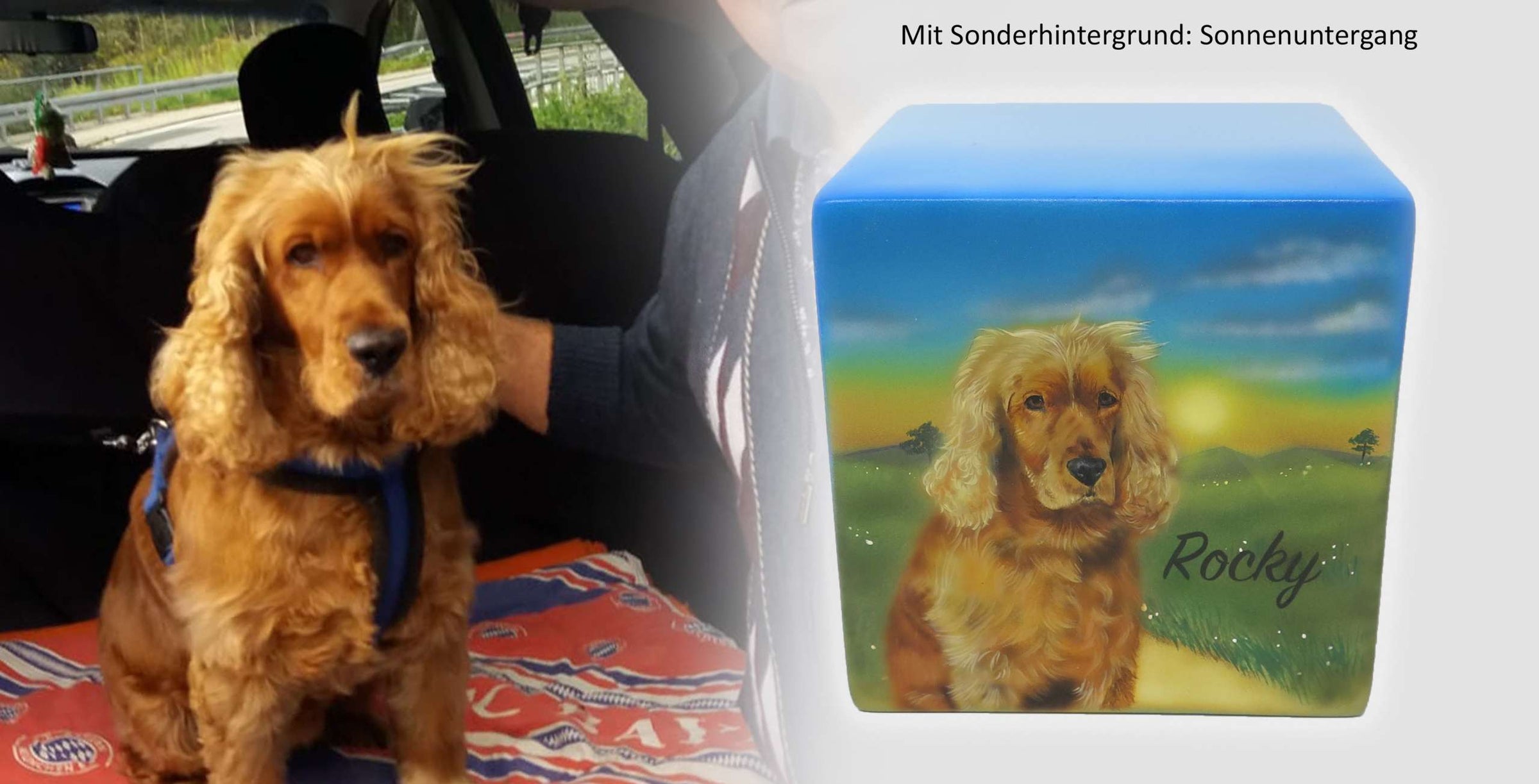 Tierurne in Würfelform mit Portrait nach Fotovorlage
