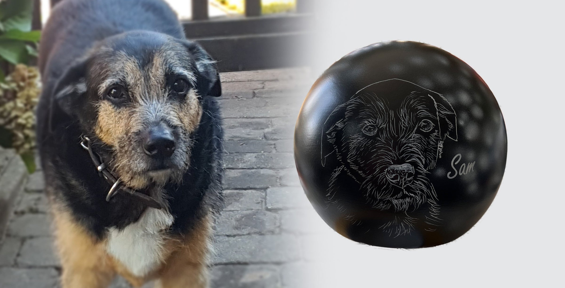 Hundeurne Hund im Licht auch mit Ihrem Hund Kugel