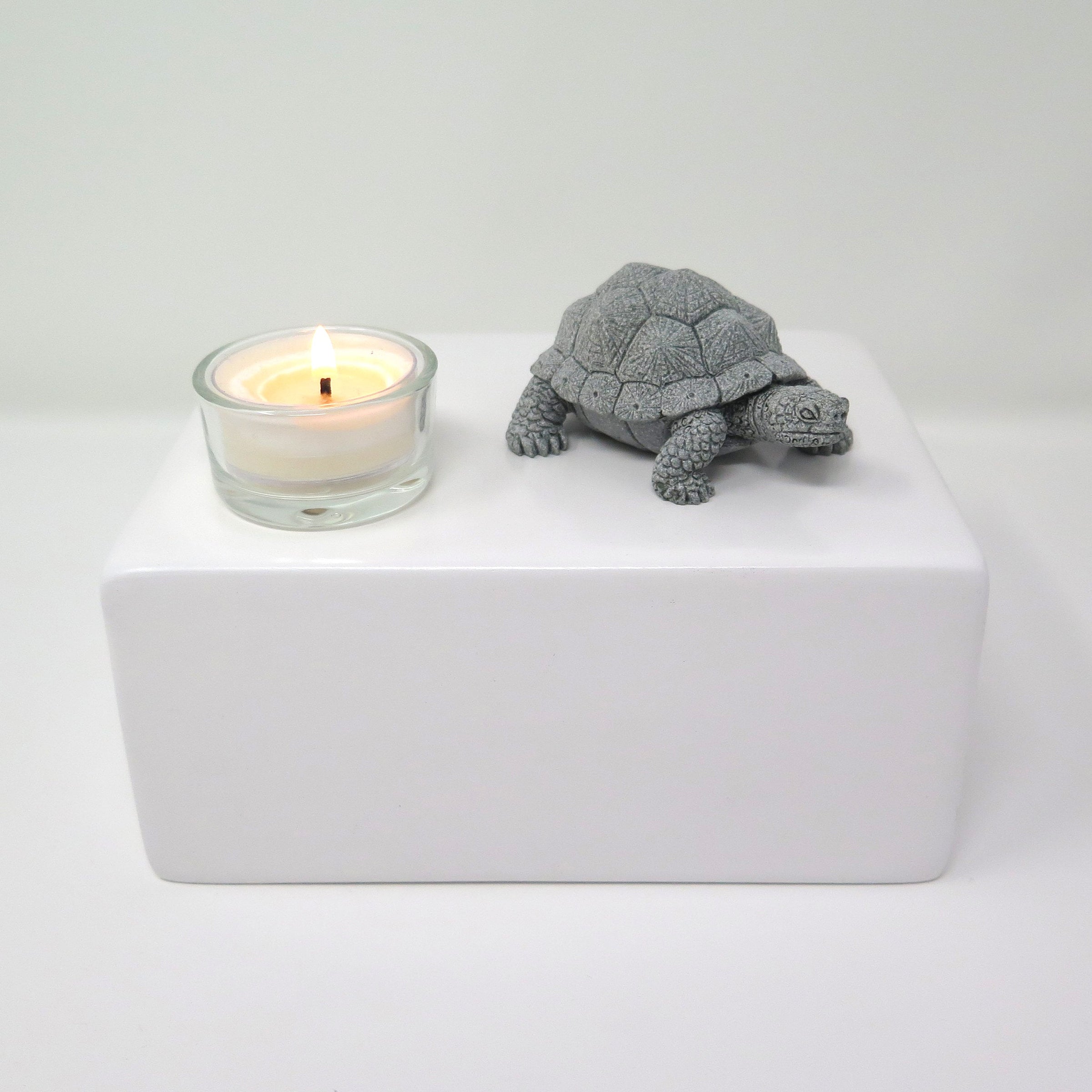 Schildkrötenurne