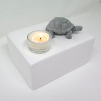 Schildkrötenurne