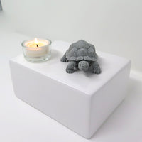 Schildkrötenurne